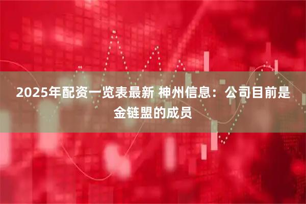 2025年配资一览表最新 神州信息：公司目前是金链盟的成员