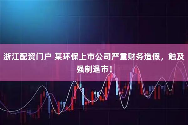 浙江配资门户 某环保上市公司严重财务造假，触及强制退市！