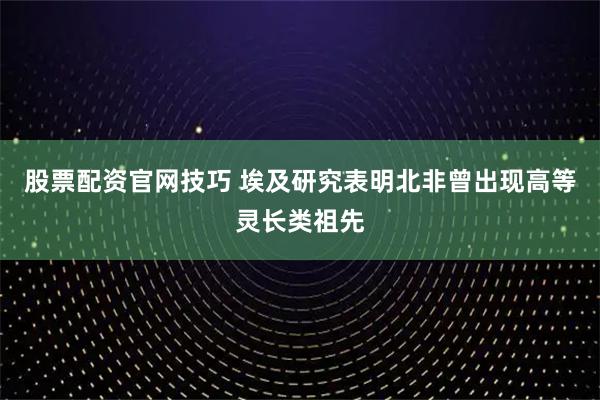 股票配资官网技巧 埃及研究表明北非曾出现高等灵长类祖先