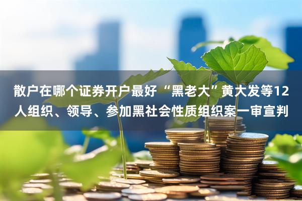 散户在哪个证券开户最好 “黑老大”黄大发等12人组织、领导、参加黑社会性质组织案一审宣判