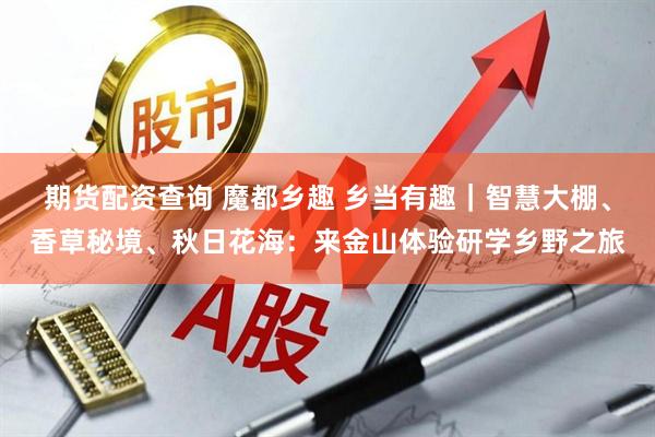 期货配资查询 魔都乡趣 乡当有趣｜智慧大棚、香草秘境、秋日花海：来金山体验研学乡野之旅
